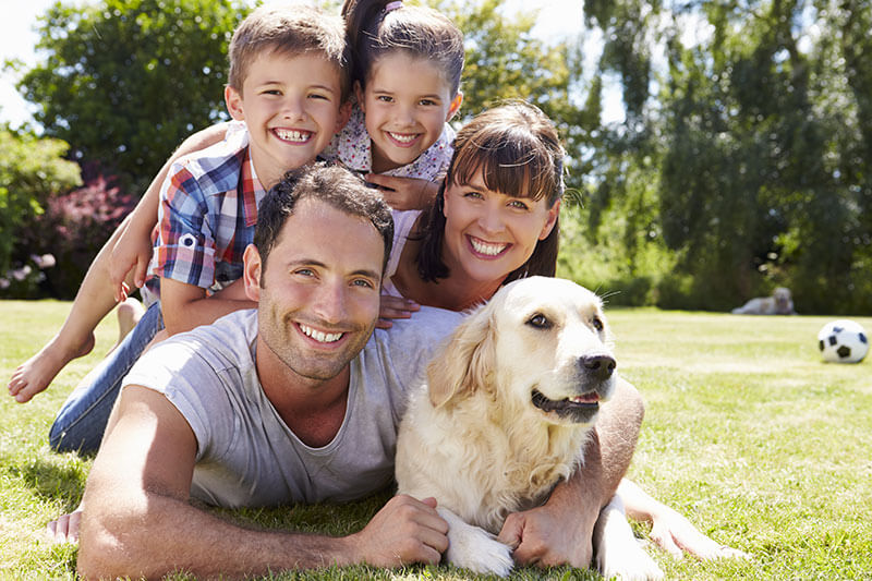 family at the park wit their dog